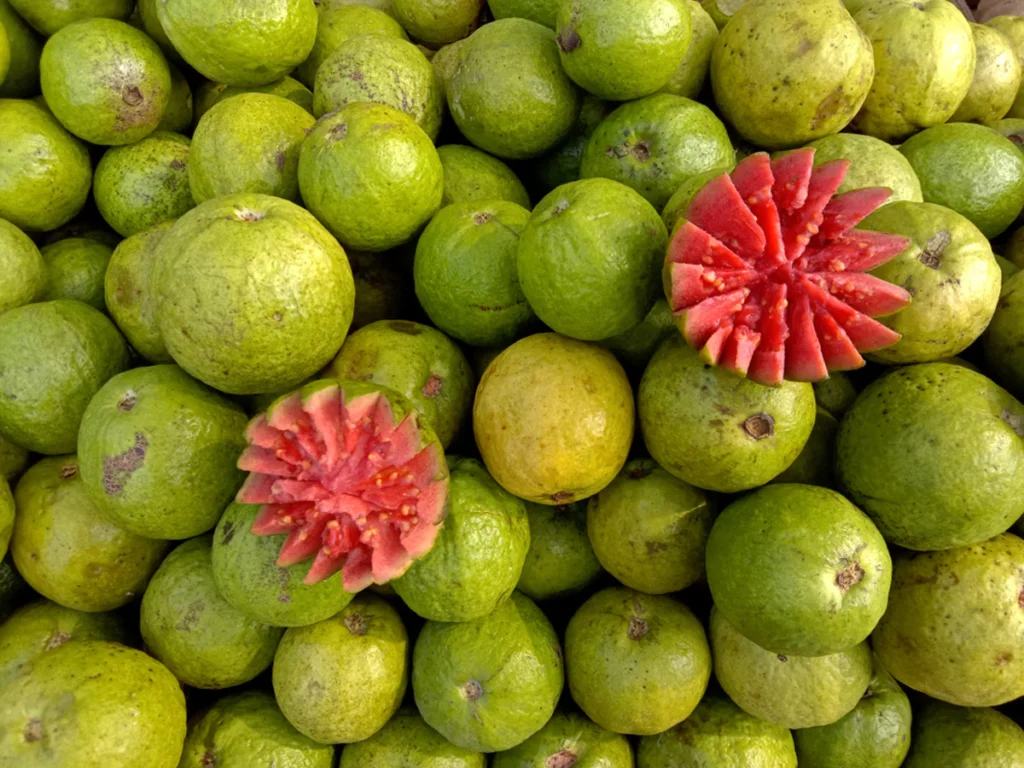 Chutney recipe | Guava recipe