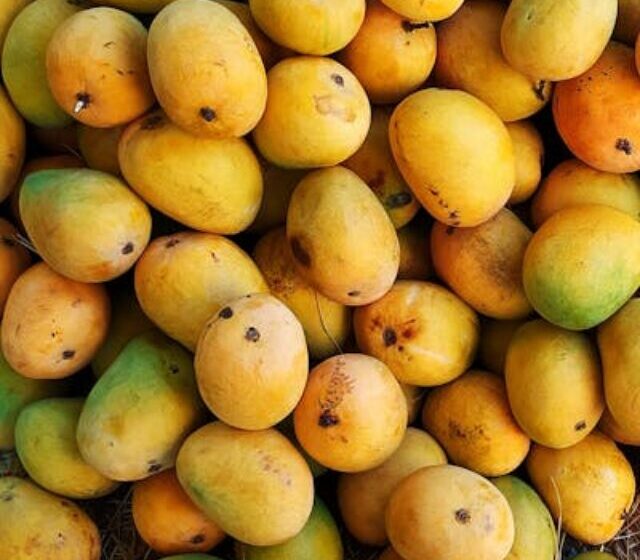 Thumbnail for Different types of Indian mangoes